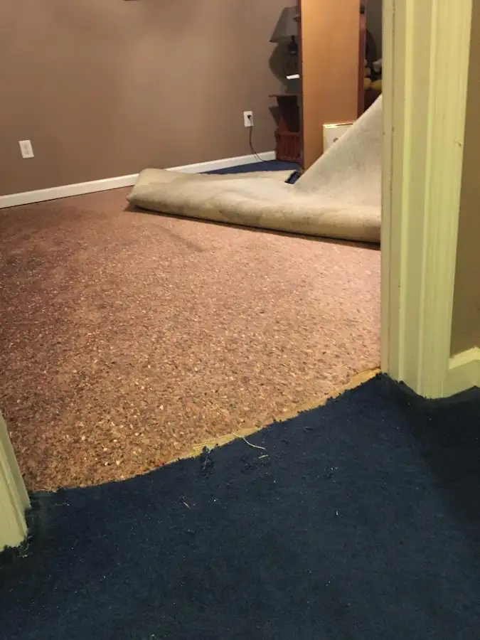 Carpet pad removal revealing water damage during Drying & Dehumidification in Fish Hawk