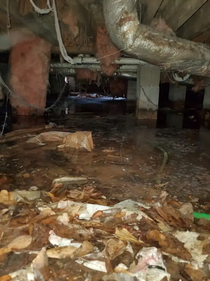 Crawl space flood assessment for Leak Detection & Repair in Fish Hawk