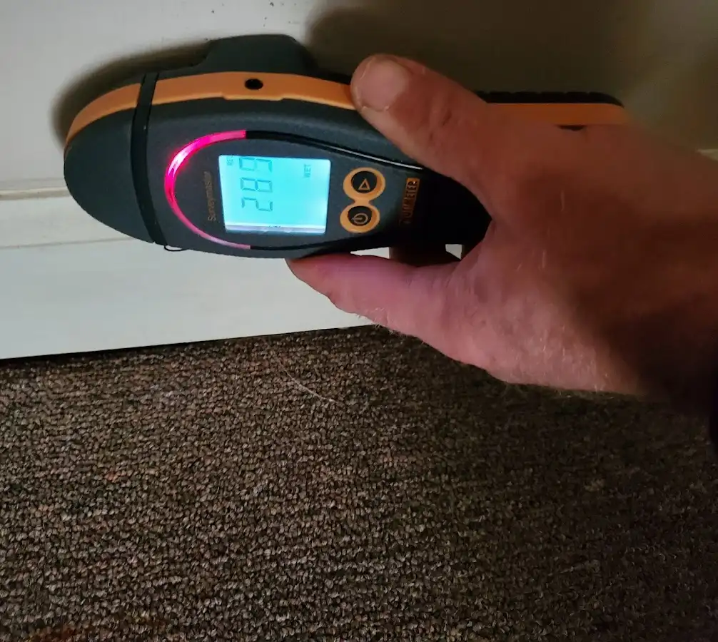 Moisture detection at baseboard during Sewage Cleanup & Sanitation in Fish Hawk